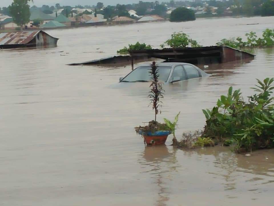 Read more about the article Rainstorm effects on Nigerian residential buildings￼ ￼