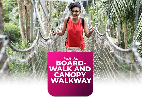 Top things to do in Lagos - Board walk Canopy